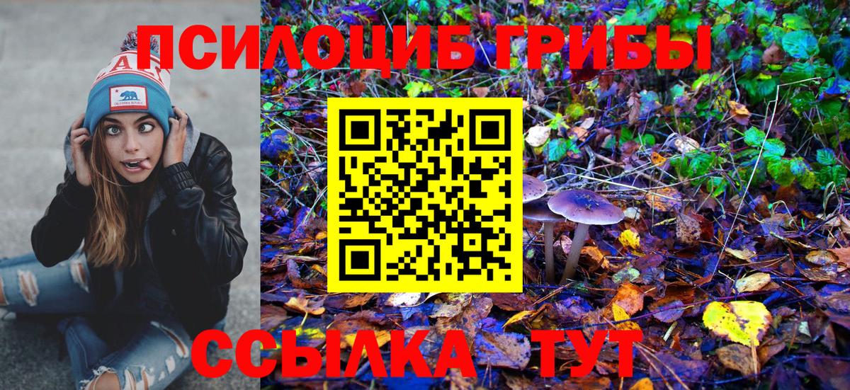 Иркутск  Галлюциногенные грибы Psilocybe  Вход с VPN 